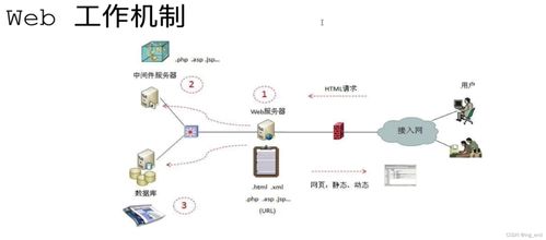 網(wǎng)絡(luò)安全學(xué)習(xí)路徑 從滲透測(cè)試到軟件開發(fā)的全方位指南